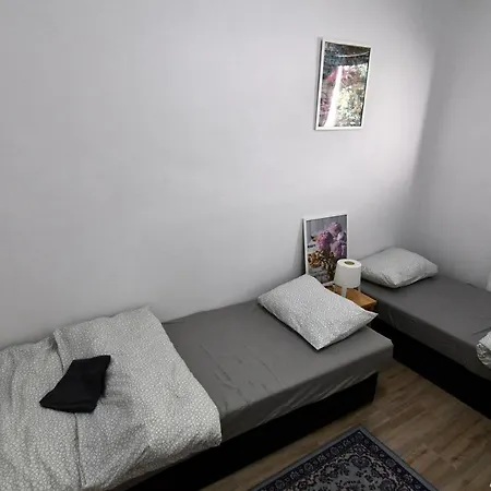 Apartment Siva *